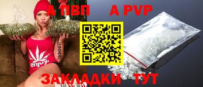 гашик Донской
