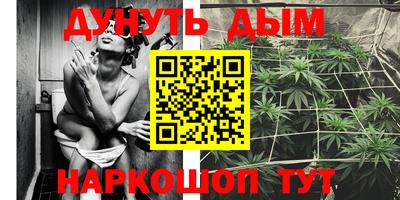 винт Дубна