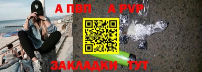 гашик Донской