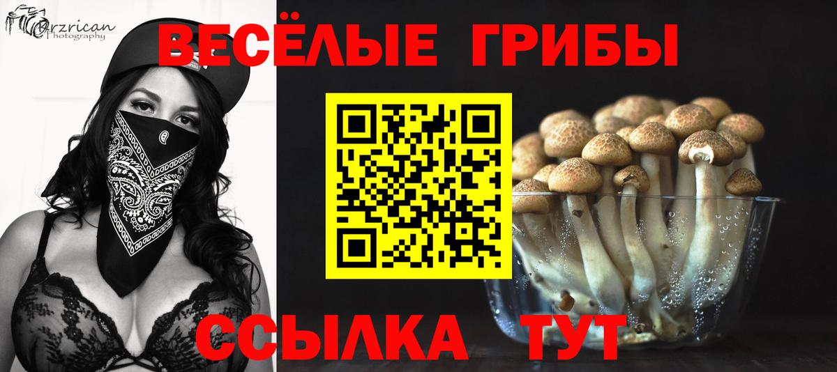 Псилоцибиновые грибы мицелий Магадан