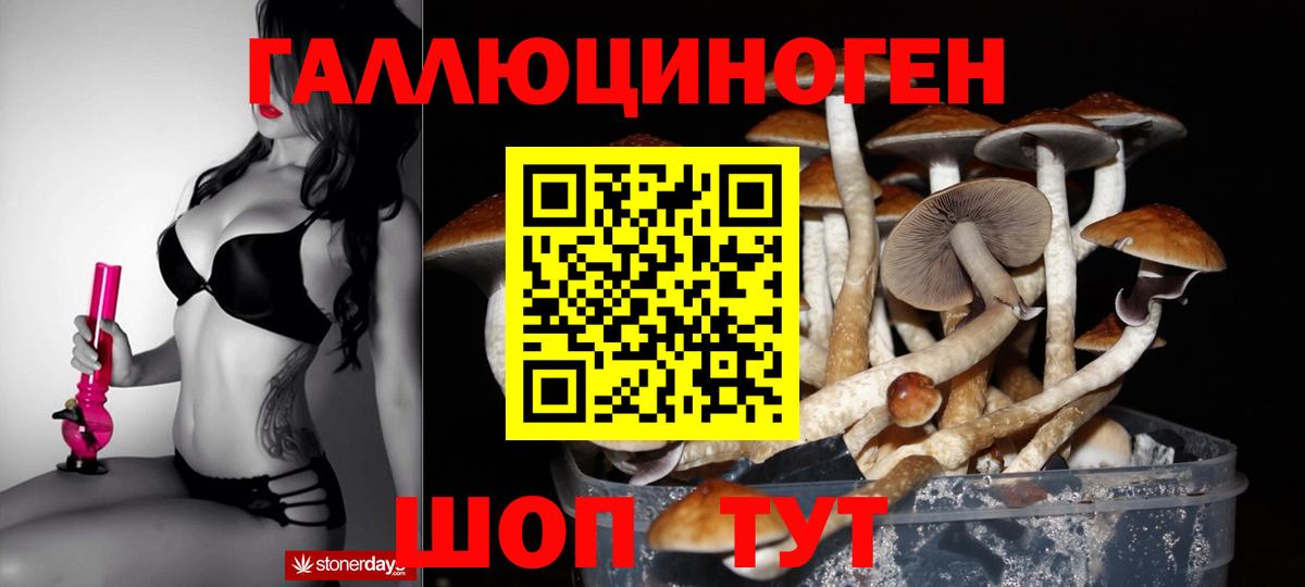 Галлюциногенные грибы GOLDEN TEACHER  Вход с VPN  Магадан 